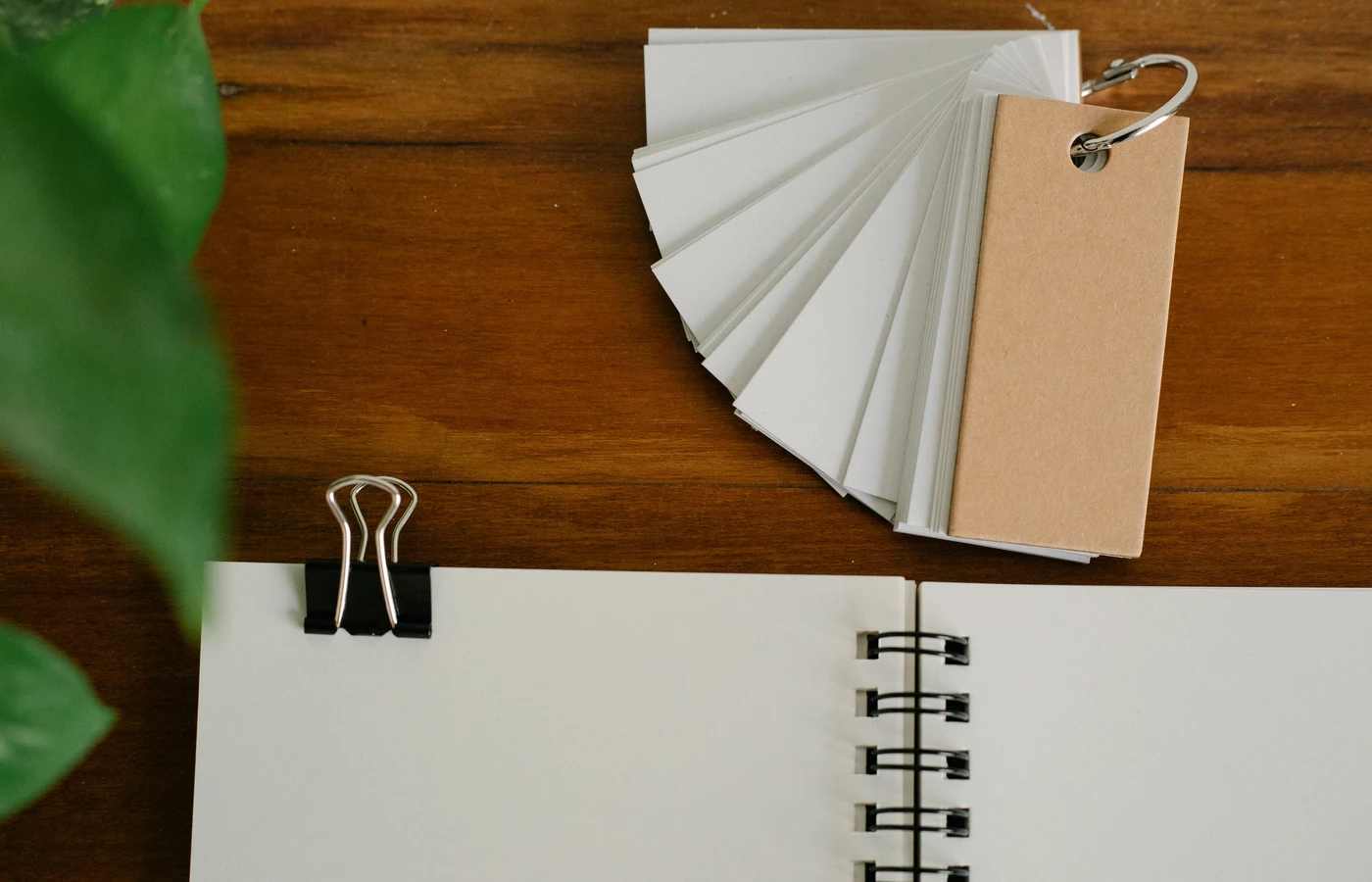 Deux collègues planifiant leurs prochaines actions avec des notes de travail