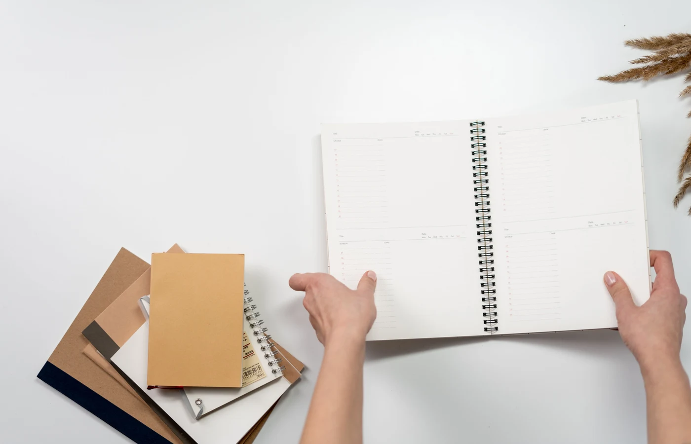 Deux collègues planifiant leurs prochaines actions avec des notes de travail